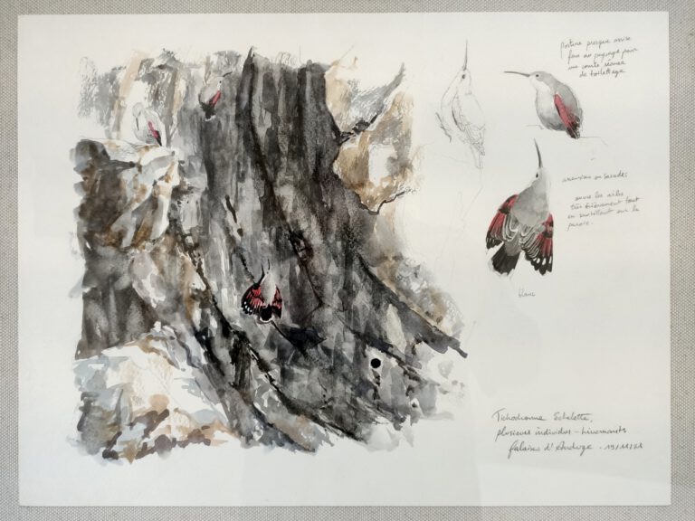 Expo Justine PIVETEAU 2022-04-09