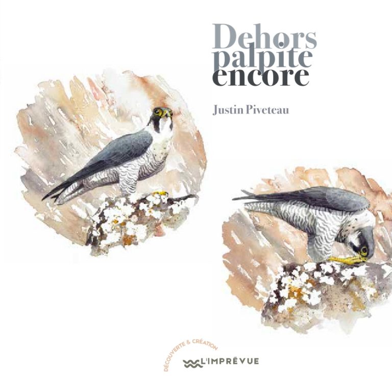 Catalogue - Dehors palpite encore (Couv)