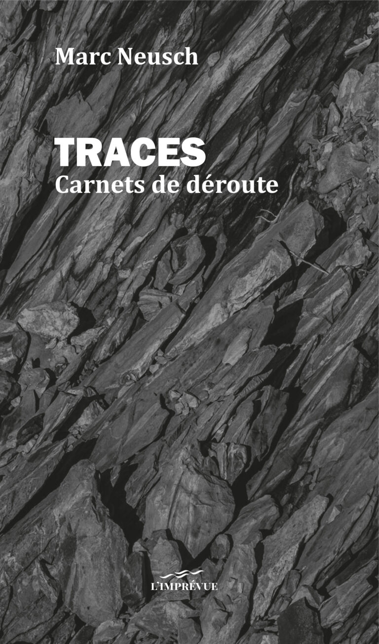 Marc Neusch TRACES Carnets de déroute